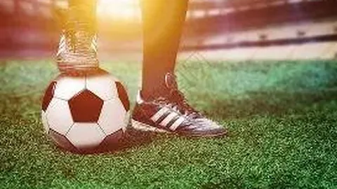 邮编154600地区查询