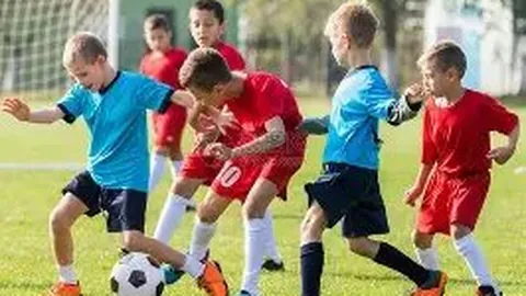 日本足球界誓言世界杯夺冠，膨胀情绪席卷上下后原创击败巴西